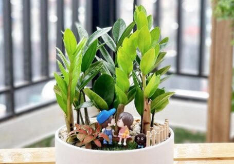 menh-hoa-hop-cay-gi-2