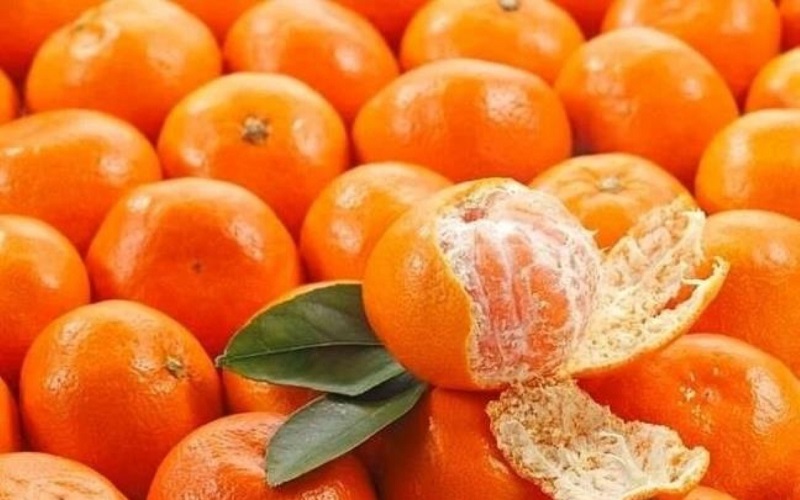 thuc-pham-mat-gan-giai-doc-2