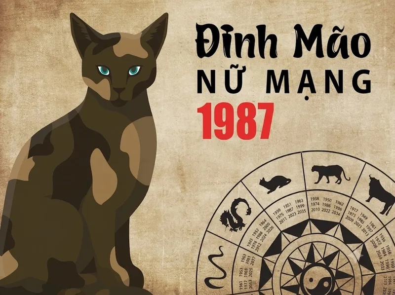Sức khỏe tuổi Đinh Mão 1987 năm 2026 cần được quan tâm thông qua lối sống khoa học